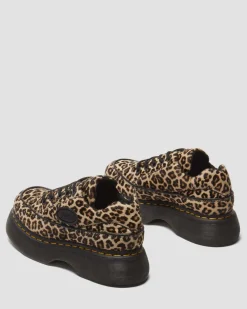 Buzz 5-Ösen Leopard Schuhe in Leopard